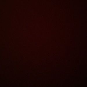 Meet your Posher, Carson